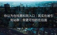 你以为在找黑料网入口｜其实在被引到站群｜但更可怕的在后面