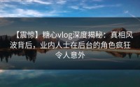 【震惊】糖心vlog深度揭秘：真相风波背后，业内人士在后台的角色疯狂令人意外