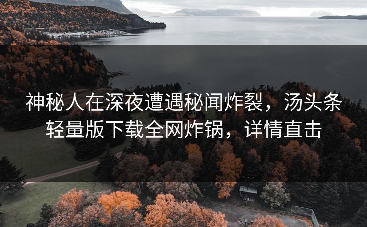 神秘人在深夜遭遇秘闻炸裂，汤头条轻量版下载全网炸锅，详情直击