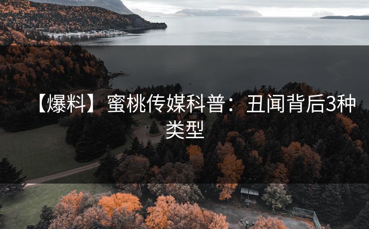 【爆料】蜜桃传媒科普：丑闻背后3种类型