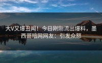 大V又爆丑闻！今日刚刚流出爆料，墨西哥暗网网友：引发众怒