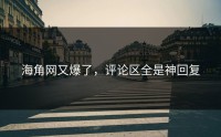 海角网又爆了，评论区全是神回复