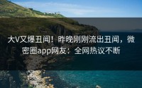 大V又爆丑闻！昨晚刚刚流出丑闻，微密圈app网友：全网热议不断
