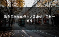 海角黑料年度爆料大赏出炉，黑料一箩筐