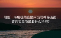 刚刚，海角视频直播间出现神秘画面，背后究竟隐藏着什么秘密？