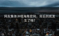 网友集体冲塔海角官网，背后到底发生了啥？