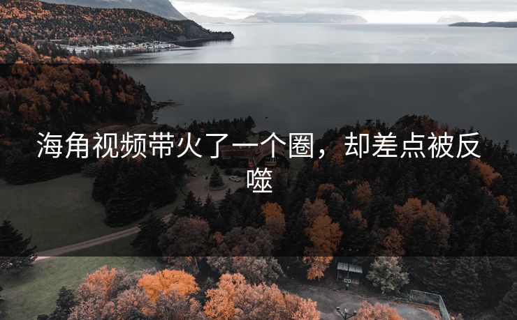 海角视频带火了一个圈，却差点被反噬