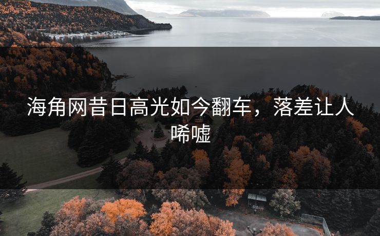 海角网昔日高光如今翻车，落差让人唏嘘