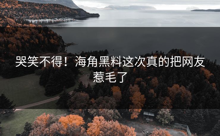 哭笑不得！海角黑料这次真的把网友惹毛了