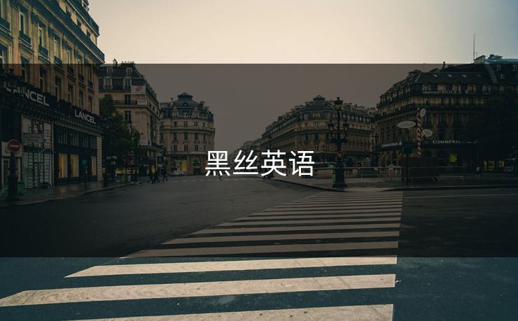 黑丝英语 黑丝英语